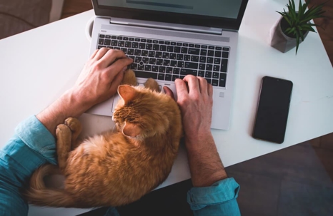 Man is typing on laptop with ginger cat sleeping on keyboard.